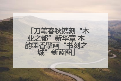 刀笔春秋镌刻“木业之都”新华章 木韵墨香擘画“书刻之城”新蓝图